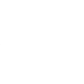 AB InBev